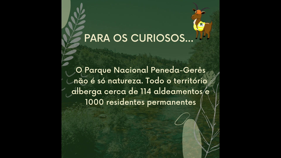 Curiosidades sobre os tesouros escondidos